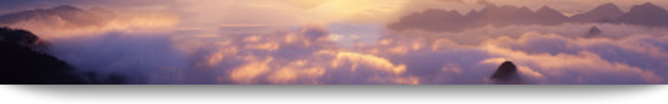 Carter International Training & Development, Inc. Legal Information